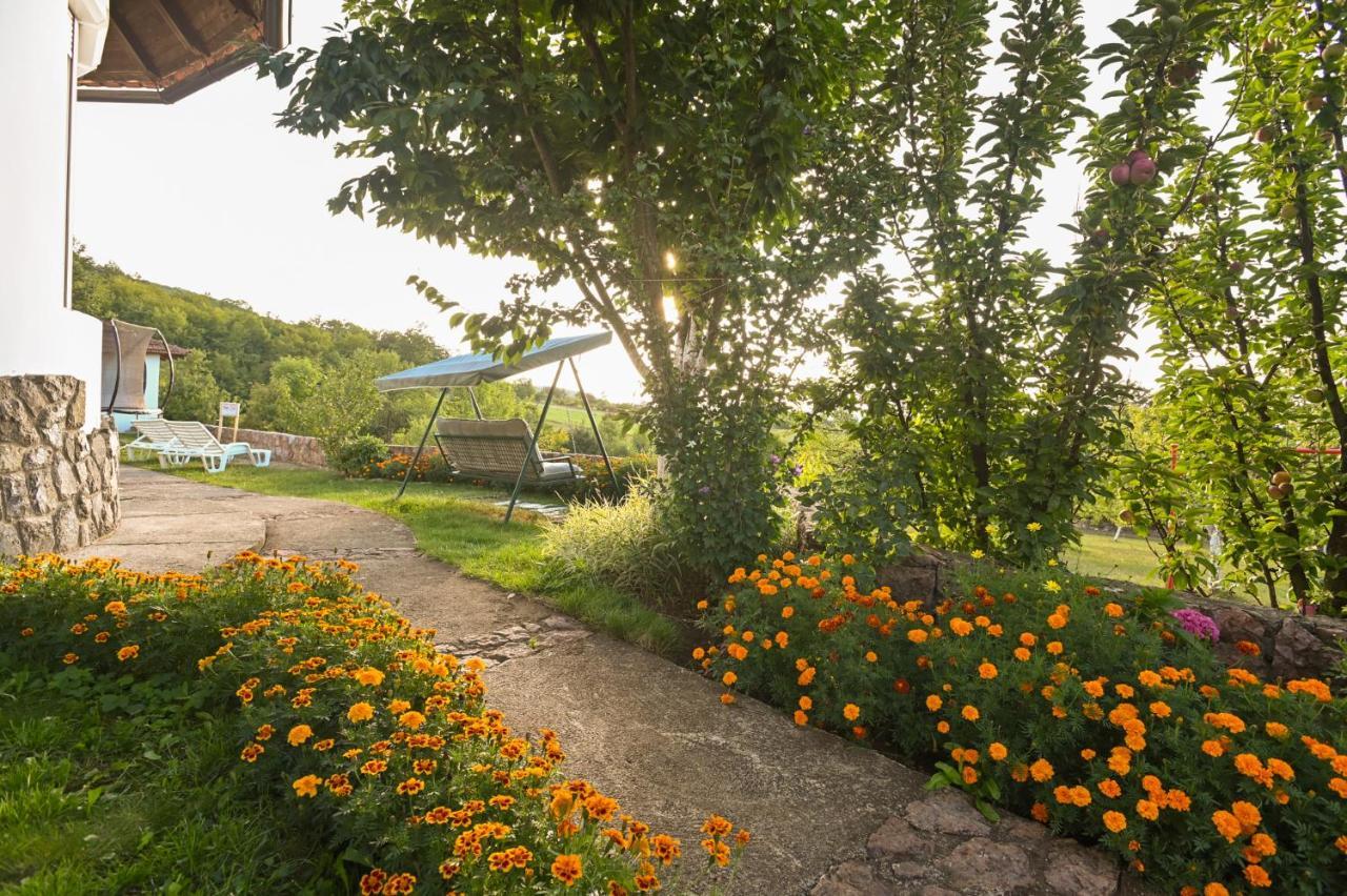 Villa Mira Mačkat Kültér fotó